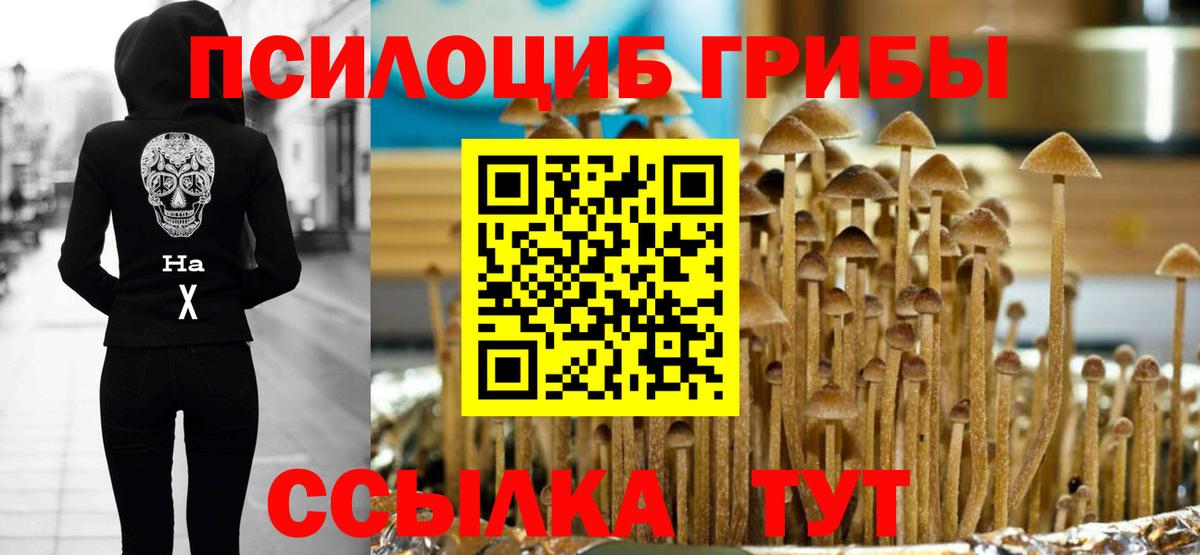 Ялуторовск  закладка  Вход с VPN  Галлюциногенные грибы Psilocybe 